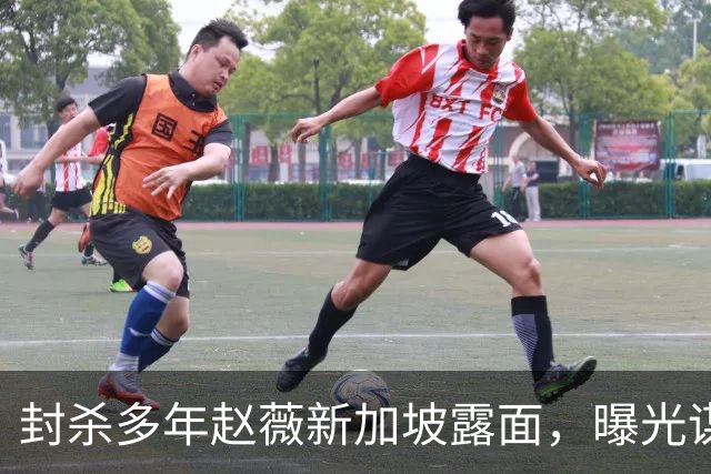 封杀多年赵薇新加坡露面，曝光谋生手段，网友：想不到她会干这个
